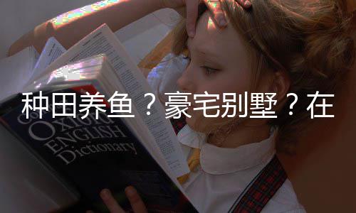 打造的仙豪个性养鱼一座种田宅别在蜀境传墅说中十足府