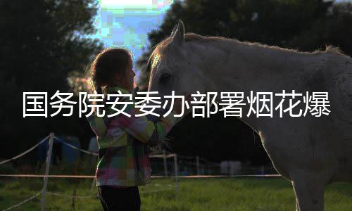 部署爆竹打非动项行国务委办院安烟花条治违专全链