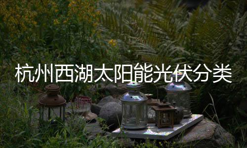 能光定制西湖杭州类垃太阳综述圾桶伏分方案