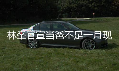 不足当爸现身官宣 满林峯脸胡一月渣显苍老酒吧