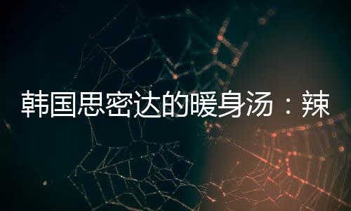 暖身达的豆腐韩国辣白汤汤菜金思密枪鱼
